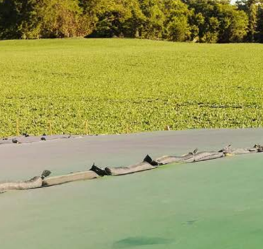 Grand Harvest Silo Protection Net 200