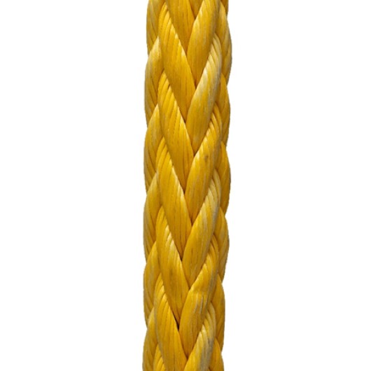 D-Tech 12 Strands