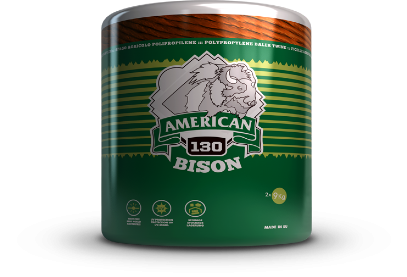American Bison 130