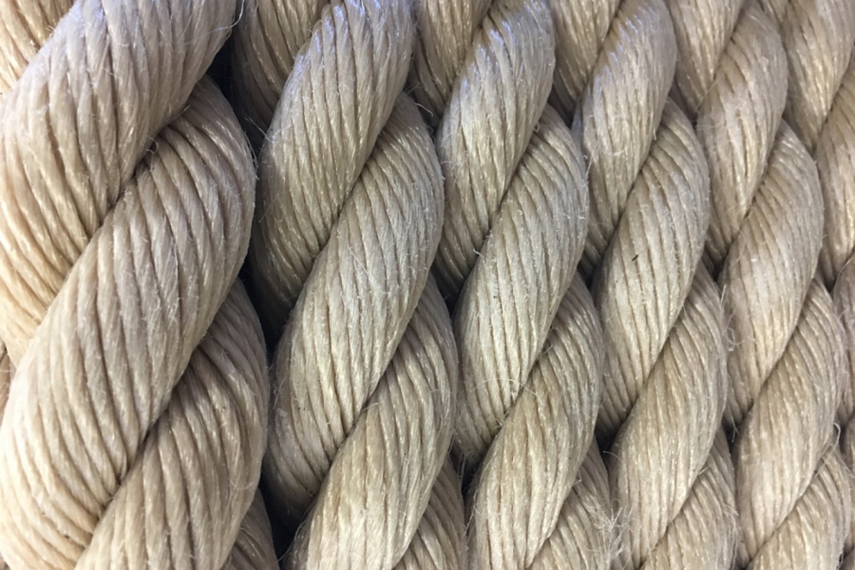 Decorative Ropes | Amjay