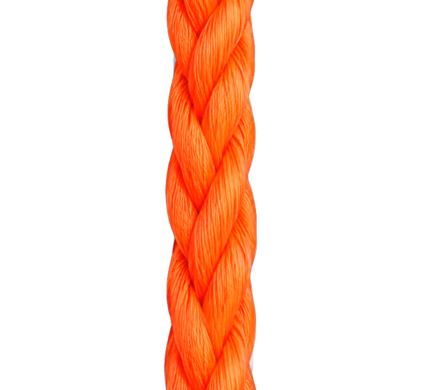 Captura_de_ecrã_2026-08-25_120837.png