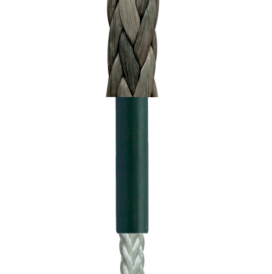 Captura_de_ecrã_2026-08-25_145618.png